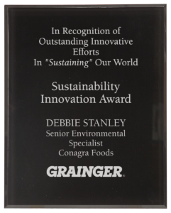 Black border clear plaque acrylic award featuring custom engraved recognition text for a Sustainability Innovation Award. Personalized acrylic recognition plaque with frosted engraving, corporate branding, and professional award presentation design.