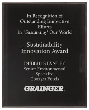 Black border clear plaque acrylic award featuring custom engraved recognition text for a Sustainability Innovation Award. Personalized acrylic recognition plaque with frosted engraving, corporate branding, and professional award presentation design.