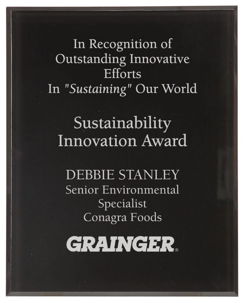 Black border clear plaque acrylic award featuring custom engraved recognition text for a Sustainability Innovation Award. Personalized acrylic recognition plaque with frosted engraving, corporate branding, and professional award presentation design.