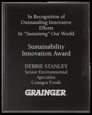 Black border clear plaque acrylic award engraved with Top Sales Associate recognition. Custom acrylic award plaque featuring frosted engraving, company logo, employee name, and achievement details for corporate recognition programs. shop Clear Acrylic Display Awards